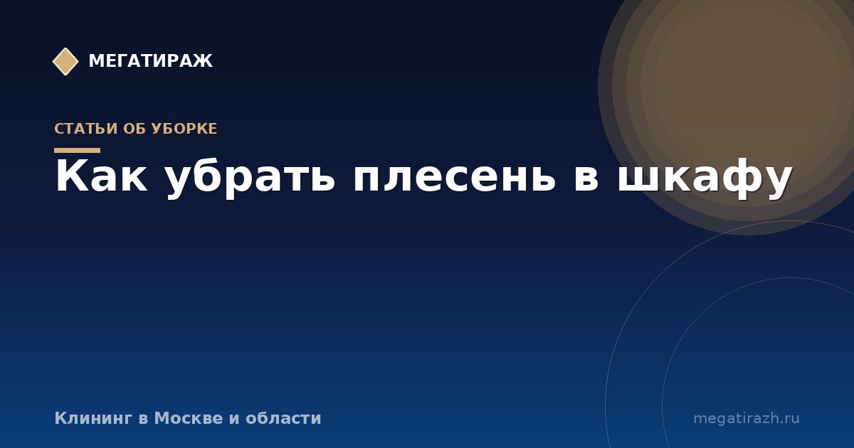 Как убрать плесень в шкафу с одеждой и на кухне